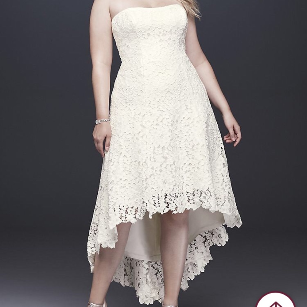 David’s Bridal sz 16W Ivory Corded Lace Strapless Wedding Gown NWT